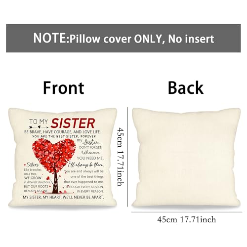 Sister Gift for Women Sister Elephant Decorative Throw Pillow Cover Presents for Soul Sister Best Friend Birthday Chirstmas Friendship Gift Inspirational Quote Keepsake 18x18 Inch (To My Sister)