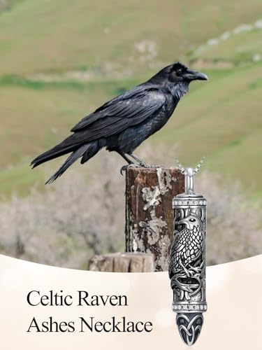 JKR Keepsake Urn Necklace for Ashes Cremation Jewelry Memorial Gift - style: 9-Bullet-Raven