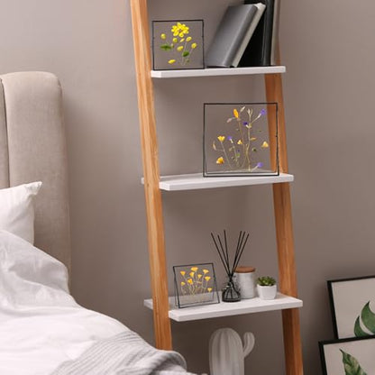 REDHUGO Double Glass Frame for Pressed Flowers, Square, Black, 8x8 Inches - color: Black, size: 8L" x 8W"