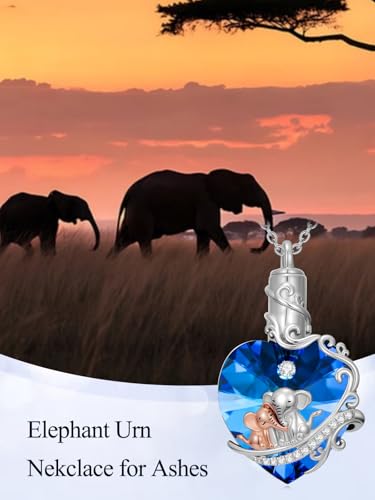 TOUPOP Sterling Silver Urn Necklace for Ashes with Crystal Memorial Keepsake Dragonfly/Butterfly/Cardinal/Cat/Dolphin Cremeation Jewelry Birthday Mothers Day Christmas Gifts for Her Women - style: Elephant