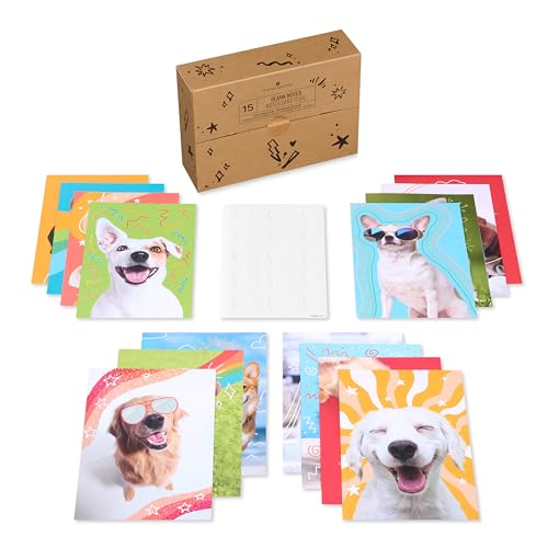 American Greetings 17-Count Thinking of You Blank Greeting Card Pack, Playful Dog Photo Assortment