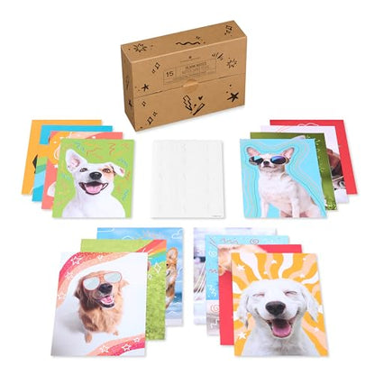 American Greetings 17-Count Thinking of You Blank Greeting Card Pack, Playful Dog Photo Assortment