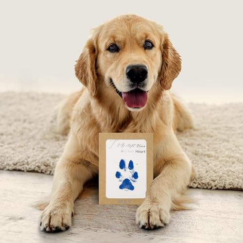DeerZone Inkless Paw Print Kit,Dog Paw Print Kit,Dog Nose Print Kit - color: Colors, size: Medium-Large 4 Pack