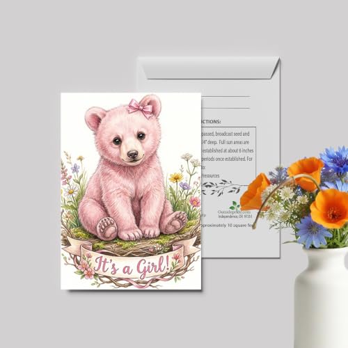 Outsidepride Baby Shower Seed Packet Favors - 25 Packets - size: Option 2, style: Baby Shower