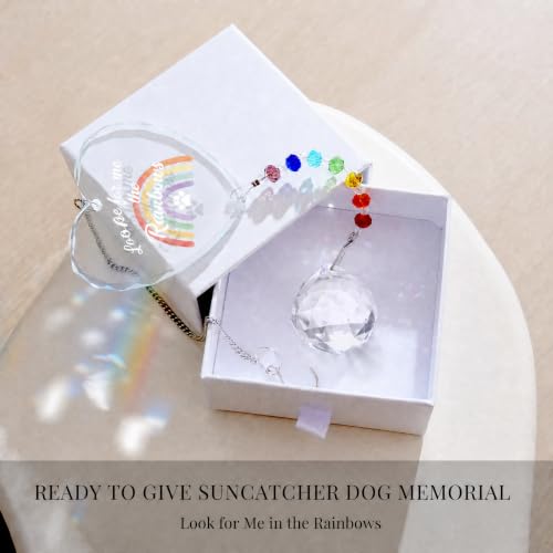 Hegelda Pet Memorial Gifts for Dogs Cats Crystal Suncatcher Ornaments - color: Dog Rainbow-ball