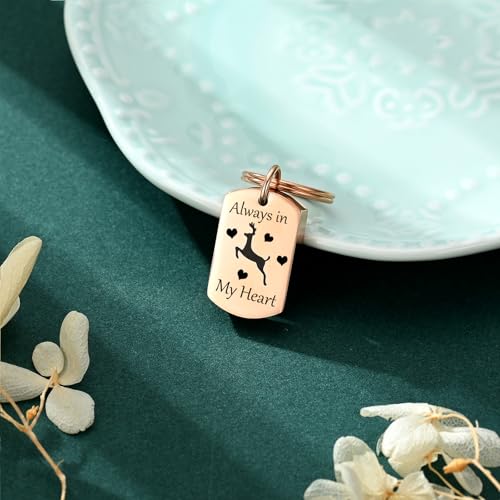 Cremation Jewelry Urn Keychain for Ashes for Women Men Memorial Keepsake Pendant - color: Rosegold