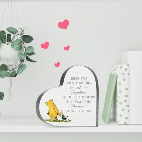 Goodbye Farewell Gifts for Women, Winnie Friendship Keepsake Acrylic, Thank You Appreciation Gifts for Coworker Friends Sister Besties Birthday, Desk Home Winnie Decor Sign Plaque - style: Winnie 009