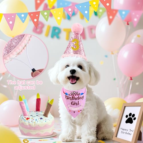 Dog Birthday Toy Set, Dog Squeaky Toys, Includes Squeaky Cake Toy, Plush Bones, Birthday Hats, Bandana, Paw Print Kit & Photo Frame. Pet Gift Supplies, Pink - color: Pink
