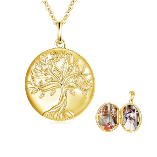 TUGHRA Mother's Day Gifts Gold Locket Necklaces for Women, 925 Sterling Silver Heart Photo Lockets Memorial Keepsake Jewelry Gift for Mom, Wife, Daughter - style: 0372-Gold