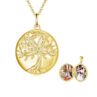 TUGHRA Mother's Day Gifts Gold Locket Necklaces for Women, 925 Sterling Silver Heart Photo Lockets Memorial Keepsake Jewelry Gift for Mom, Wife, Daughter - style: 0372-Gold