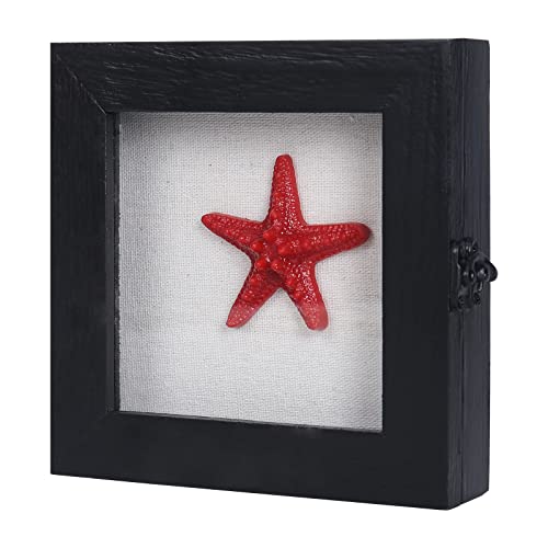 6x6 Small Shadow Box Frame with Glass, Hinged Door, Solid Wood, Black