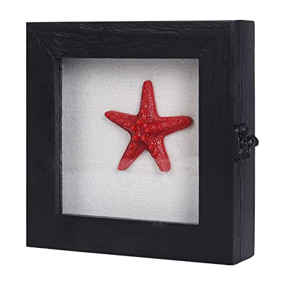6x6 Small Shadow Box Frame with Glass, Hinged Door, Solid Wood, Black