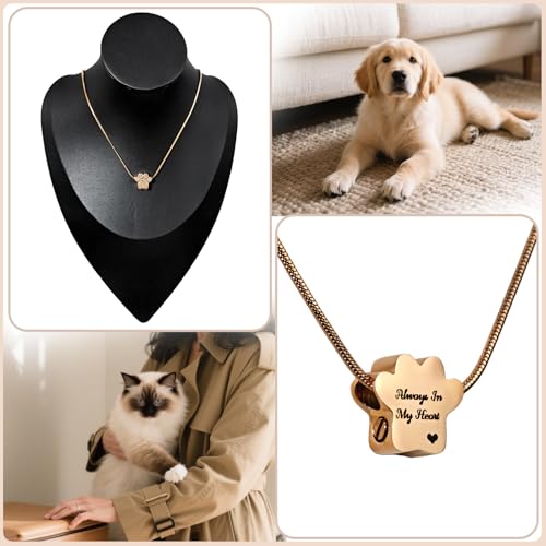 Paw Print Heart Pet Ashes Urn Necklace, Keepsake Pendant-B-Rose Gold - style: B-Rose Gold
