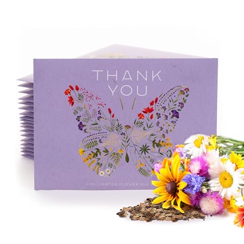 Thank You Packet - Butterfly Pollinator Mix - 25 Seed Packets - Perfect Eco-Friendly Thank You Gift - Non GMO Seeds, Purple - style: Thank You Purple Butterfly