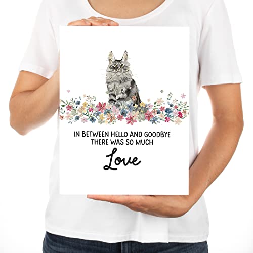 Andaz Press Jumbo Pet Sympathy Card with Envelope, Sorry For Your Loss Card, Main Coon Cat Loss Of Pets, Cat Grief Bereavement Card with Big Blank Space to Send to Friends, Family, 8.5" x 11", 1-Pack - color: Main Coon Cat