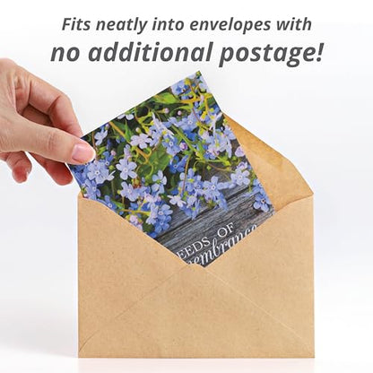 Bentley Seed Co. | Seeds of Remembrance | Pre Filled Non-GMO, Non-Coated Forget Me Not Seeds Packets | Perfect Memorial Service Giveaways and Celebration of Life Decorations | Pack of 25 - style: Seeds of Remembrance Forget-Me-Not Seeds