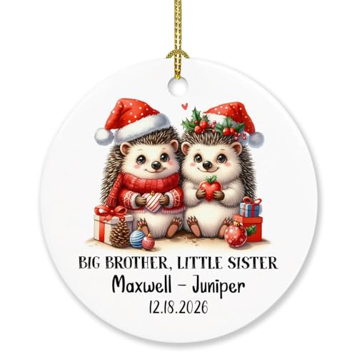 Personalized Big Brother Hedgehog Sibling Ornament 2026 Christmas, Big Brother & Little Sister Hedgehog Xmas Tree Ornaments, Custom Names & Date New Brother Little Sister Ornament Gifts for Newborn - color: Big Brother & Little Sister #4 Ornament