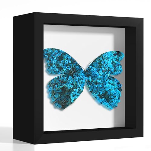 5x5 Black Wooden Shadow Box Frame, 1.2" Deep, Tempered Glass | Black Backboard, Tabletop & Vertical/Horizontal Wall Display, Memorabilia Display, Wedding/Baby Keepsakes & Crafts - color: Black, size: 5x5