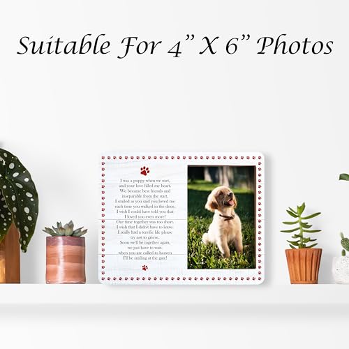 Pet Memorial Pictures Frame, Remembrance Photo Frame, Sympathy Gifts For Loss Of Pet Dog Cat, Farmhouse Home Living Room Bedroom Office Decoration -101