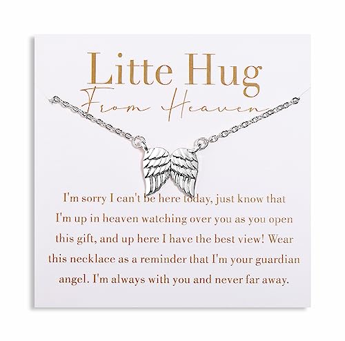GINAZL Angel Wings Memorial Necklace Sympathy Gifts for Loss of Loved One Bereavement Gift Memorial Gifts for Loss of Dad Mom - style: Little Hug