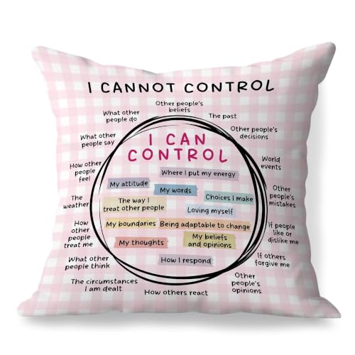 Circle of Control Mental Health Pink Pillow Covers 18x18, Therapy Office Decor, I Can and Cannot Control Decorative Throw Pillow Covers for Classroom School Counselor Office - color: Circle of Control-2