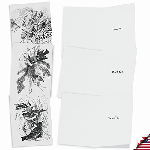 The Best Card Company - 10 Bird Note Cards Blank (4 x 5.12 Inch) - All Occasion Cards with Envelopes, Boxed Set - Wing Notes M6475OCB - style: Wing Notes