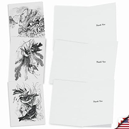 The Best Card Company - 10 Bird Note Cards Blank (4 x 5.12 Inch) - All Occasion Cards with Envelopes, Boxed Set - Wing Notes M6475OCB - style: Wing Notes