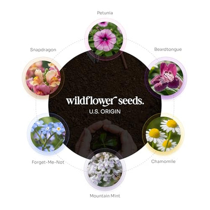 50 Plantable Thank You Seed Paper Tags with Wildflower Seeds - style: 50 B&W Thank You Tags