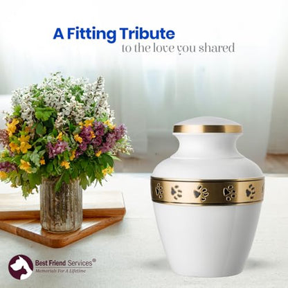 Morgan Legacy Cloud White/Brass Pet Urn, up to 65lbs - color: Cloud White, Brass Band, size: Medium
