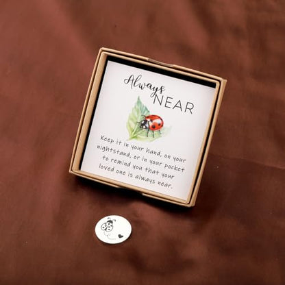 CENWA Loss of A Loved One Ladybug Memorial Gift - Ladybug Token & Wish Jewelry