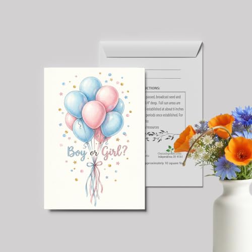 Outsidepride Gender Reveal Seed Packet Favors - 25 Packets - size: Option 2, style: Gender Reveal
