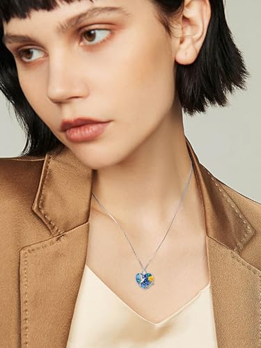 WINNICACA Cremation Jewelry for Ashes Locket Ashes Necklace Urn Necklace for Women Sterling Silver Cremation Necklace for Ashes Fine Keepsake Picture Necklace Memorial Jewelry - style: D01-Hummingbird Urn Necklace(Abalone)