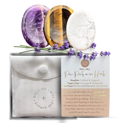Paw Prints Comfort Worry Stones – Pet Loss Sympathy Gift for Loss of Dog or Cat, Dog Memorial Gifts, Rainbow Bridge Remembrance & Bereavement Gift, Condolence Gift for Grieving Pet Owner - color: Paw Prints