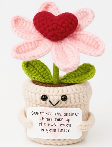 Inspirational Gifts for Women Men - Smallest Things Take Up the Most Room Crochet Flower Ornament - Sentimental Christmas Birthday Thinking of You Present for Her Him Best Friends - color: Thinking of You