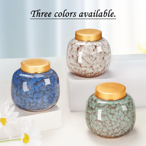 Dletay Small Urns for Human Ashes Keepsake Ceramic Mini Cremation Urns for Human Ashes Memorial Small Urn for Ashes Funeral Keepsake White Urn