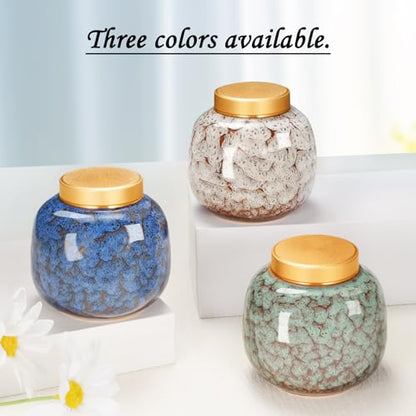 Dletay Small Urns for Human Ashes Keepsake Ceramic Mini Cremation Urns for Human Ashes Memorial Small Urn for Ashes Funeral Keepsake White Urn