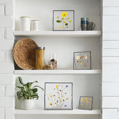 REDHUGO Double Glass Frame for Pressed Flowers, Square, Black, 4x4 Inches - color: Black, size: 4L" x 4W"