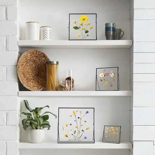 REDHUGO Double Glass Frame for Pressed Flowers, Square, Black, 8x8 Inches - color: Black, size: 8L" x 8W"