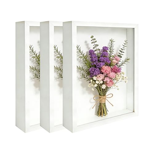 3 Pcs 8x10 Inch Shadow Box Frames Acrylic,Shadow Box Frame Display Cases,Cases for Pressed Flowers Keepsakes Tickets Photos (White) - color: White