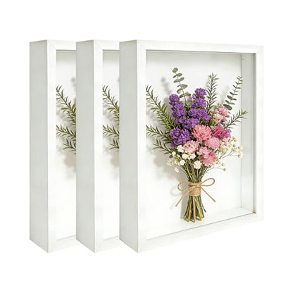 3 Pcs 8x10 Inch Shadow Box Frames Acrylic,Shadow Box Frame Display Cases,Cases for Pressed Flowers Keepsakes Tickets Photos (White) - color: White