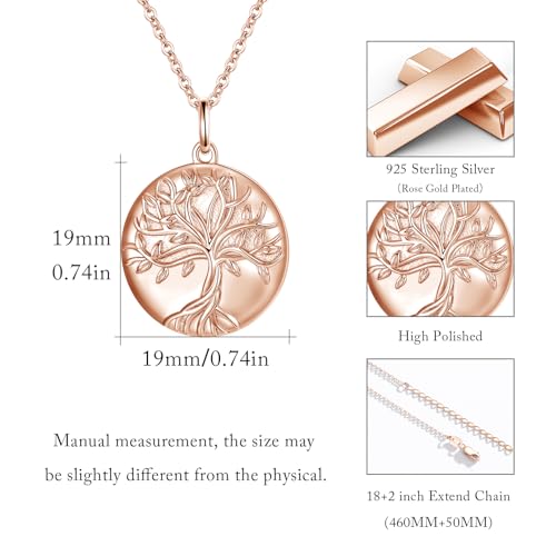 TUGHRA Mother's Day Gifts Gold Locket Necklaces for Women, 925 Sterling Silver Heart Photo Lockets Memorial Keepsake Jewelry Gift for Mom, Wife, Daughter - style: 0372-Rose Gold