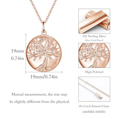 TUGHRA Mother's Day Gifts Gold Locket Necklaces for Women, 925 Sterling Silver Heart Photo Lockets Memorial Keepsake Jewelry Gift for Mom, Wife, Daughter - style: 0372-Rose Gold