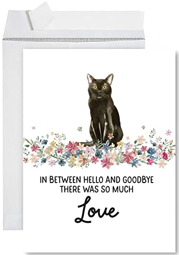 Andaz Press Jumbo Pet Sympathy Card with Envelope, Sorry For Your Loss Card, Bombay Cat, Loss Of Pets, Cat Grief Bereavement Card with Big Blank Space to Send to Friends, Family, 8.5" x 11", 1-Pack - color: Bombay Cat