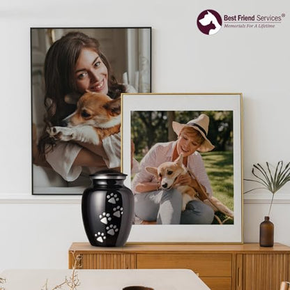 Ottillie Legacy Ebony/Pewter/Vert Urn, up to 115lbs - color: Ebony, Vertical Pewter Paws, size: Large