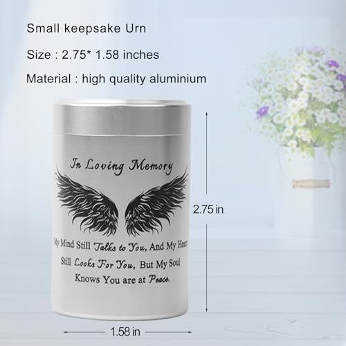 Aluminum Keepsake Urns Set of 6 - Mini Memorial Ashes Containers (3 inches) - size: Wing
