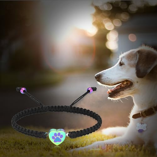 Cremation Bracelet for Pets Ashes Cat Dog Heart Paw Print Pendant Bangle Stainless Steel Memorial Urn Bracelet Cremation Jewelry - color: Rainbow