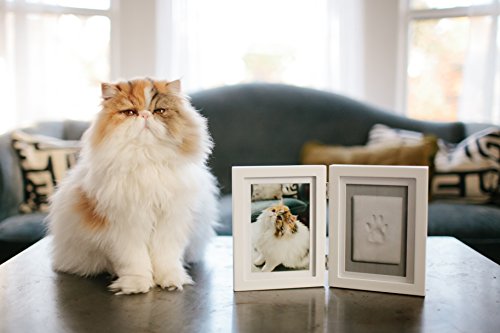 Pearhead Pet Paw Print Memorial Frame with Clay Imprint Kit, White - color: White Pawprint Desk Frame