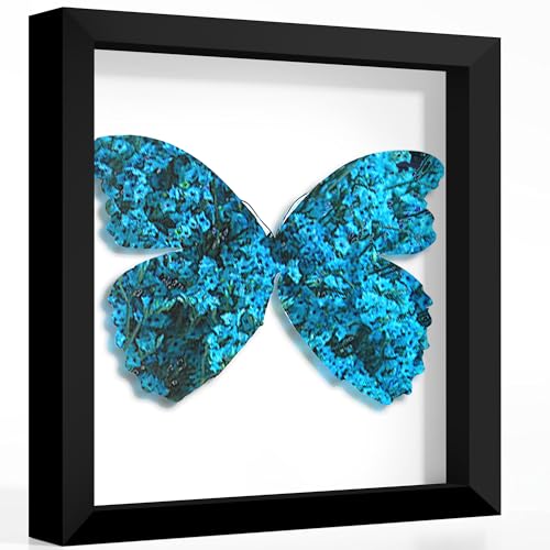 12x12 Black Wooden Shadow Box Frame, 1.2" Deep, Tempered Glass | Black Backboard, Tabletop & Vertical/Horizontal Wall Display, Memorabilia Display, Wedding/Baby Keepsakes & Crafts - color: Black, size: 12x12