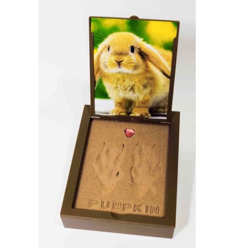 PawPals Paw Print Keepsake Classic Mold Kit, Instant Paw Print Kit with Display Frame & Photo Window, Pet-Safe, No Kneading, Mixing, Baking or Drying Keepsake (Small)