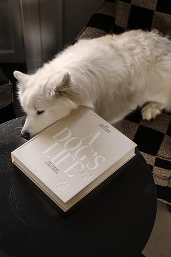 Printworks A Dog's Life Dog Photo Album, Beige - 30 Pages for 4x6 Photos | Cloth Cover, Expandable to 40 Pages, Extra Pages Sold Separately, Writing Space - style: Dog Album